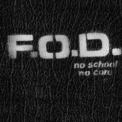 Flag Of Democracy (Fod) No School No Core Vinyl LP