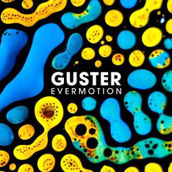 Guster Evermotion VINYL LP