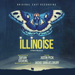 Various Artists Illinoise: A New Musical ORIGINAL CAST RECORDING 2 VINYL LP 140G