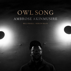 Ambrose Akinmusire Owl Song 140G VINYL LP