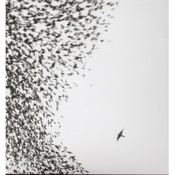 Wilco Sky Blue Sky VINYL 2 LP