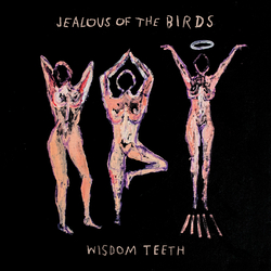 Jealous Of The Birds Wisdom Teeth VINYL LP