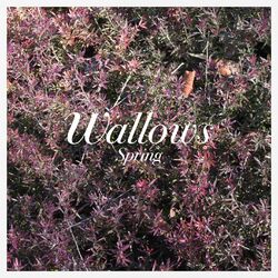 Wallows Spring Ep (X) (Pink & Green Vinyl) Vinyl LP