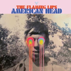 Flaming Lips American Head-Á 2 VINYL LP