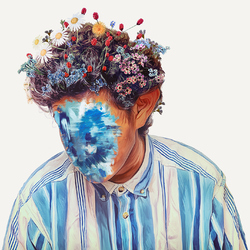 Hobo Johnson The Fall of Hobo Johnson