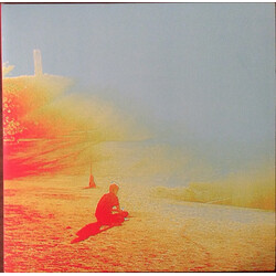 Flaming Lips Terror VINYL LP