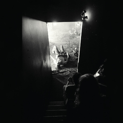 Metz Automat VINYL LP