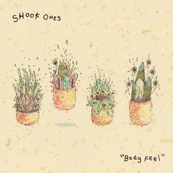 Shook Ones Body Feel VINYL LP