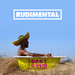 Rudimental Toast To Our Differences (2 LP) Vinyl LP