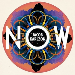Jacob Karlzon Now Vinyl LP