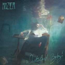 Hozier Wasteland Baby (2 LP/Dl Insert/Gatefold Jacket) Vinyl LP