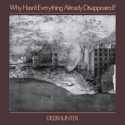 Deerhunter Why Hasn'T Everything Already Disappeared VINYL LP