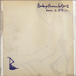Babyshambles Down In Albion 20TH ANNIVERSARY EDITION 2 VINYL LP