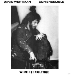 David & Sun Ensemble Wertman Wide Eye Culture DELUXE VERSION 3 VINYL LP