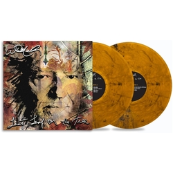 Willie Nelson Last Leaf On The Tree VINYL AMBER FOSSIL 2 LP