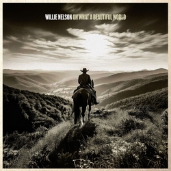 Willie Nelson Oh What A Beautiful World VINYL LP