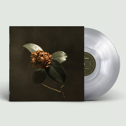 St. Paul & The Broken Bones Young Sick Camellia VINYL LP