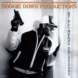Boogie Down Productions By All Means Necessary LIMITED EDITION VINYL LP