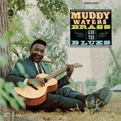 Muddy Waters Muddy Brass And The Blues CHESS ACOUSTIC SOUNDS SERIES 180GM VINYL LP