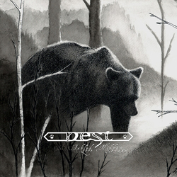 Nest Fabled Lore Hidden Stream VINYL LP
