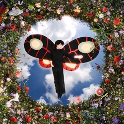 Neniu Les Ailes VINYL LP