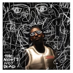 Tinie Tempah Night's Not Dead 2 VINYL LP
