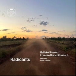 Ballake; Lorenzo Bianchi-Hoesch Sissoko Radicants VINYL LP