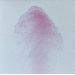 Qasim Naqvi Chronology Vinyl LP
