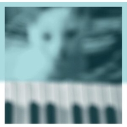 Peter Broderick Piano Works Vol. 1 FLOATING IN TUCKERGÇÖS BASEMENT 2 VINYL LP