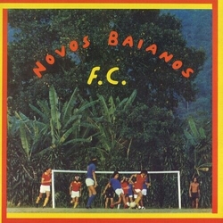 Novos Baianos Novos Baianos F.C. VINYL LP