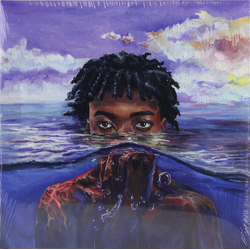 Redveil Learn 2 Swim VINYL LP