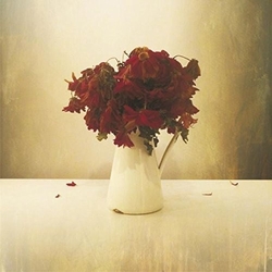 Lion & The Wolf Cardiac Hotel VINYL LP