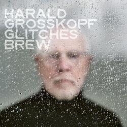 Harald Grosskopf Glitches Brew VINYL LP