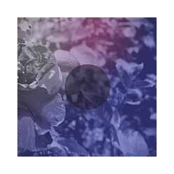 See Through Dresses See Through Dresses VINYL LP