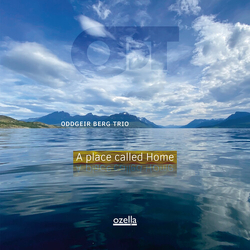 Oddgeir Berg Trio Place Called Home VINYL LP