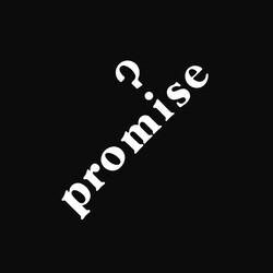 Promise (12) Promise VINYL LP