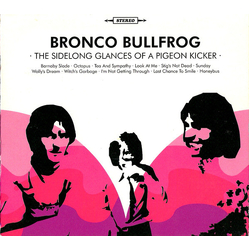 Bronco Bullfrog Sidelong Glances Of A Pigeon Kicker VINYL LP