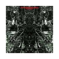 Cavem3N Stalefield Incident (Coloured Vinyl) Vinyl LP