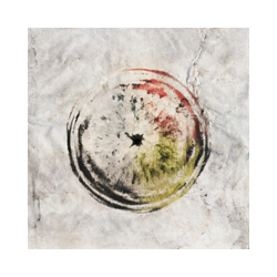 Rosetta Utopioid VINYL LP