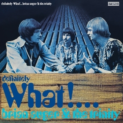 Brian & The Trinity Auger Definitely What! VINYL LP