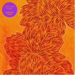 Nubiyan Twist Find Your Flame VINYL LP