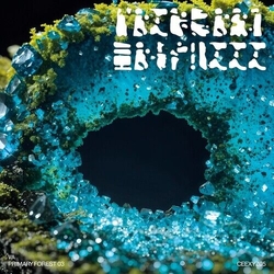 Various Artists Primary Forest 03 VINYL LP