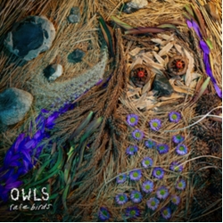 Owls Rare Birds VINYL LP