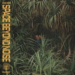 Not Even Noticed Space Beyond Noise VINYL LP