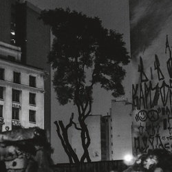 Manuel Pessoa De Lima Realejo VINYL LP