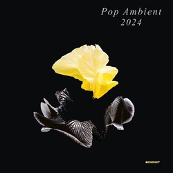 Various Artists Pop Ambient 2024 VINYL LP
