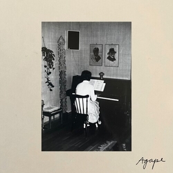 Tara Nome Doyle Agape VINYL LP
