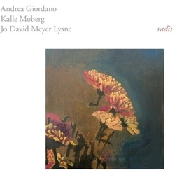 Andrea & Kalle Moberg & Jo David Meyer Lysne Giordano Radis VINYL LP