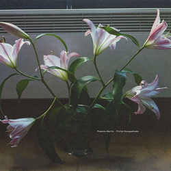 Francis Harris Trivial Occupations VINYL LP