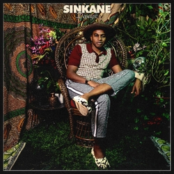 Sinkane Depayse VINYL LP